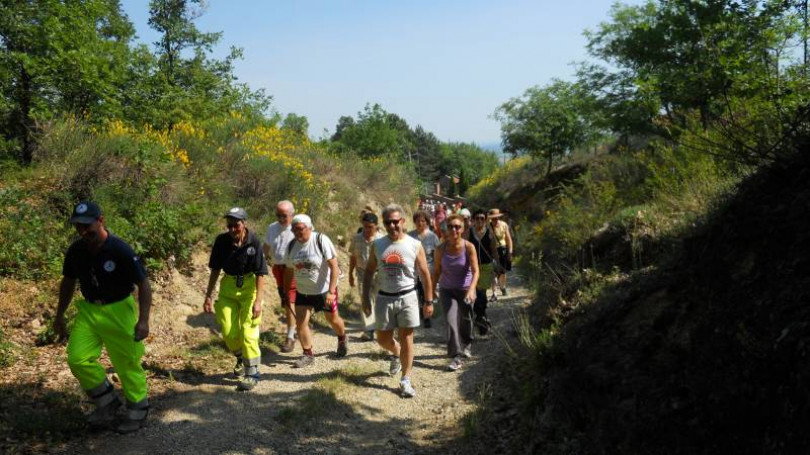 Camminare il Monferrato a Rosignano. Sagra dell'ulivo a Odalengo Piccolo