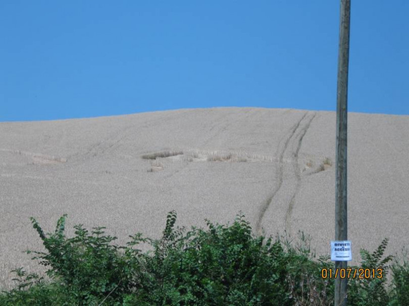 Cerchi nel grano: l’autore sarebbe un ingegnere
