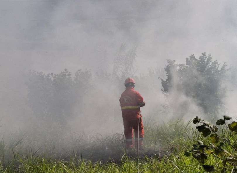 Incendio in un noccioleto a Mombello