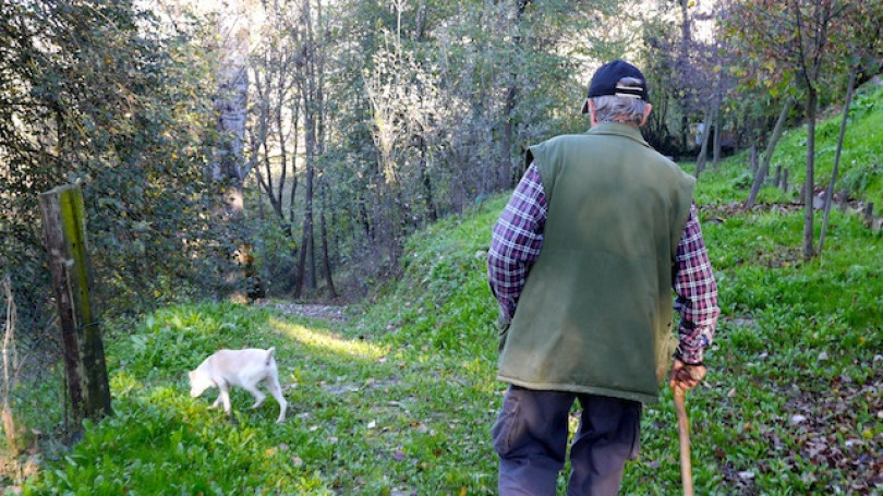 Dalla Russia per la “cerca” del tartufo