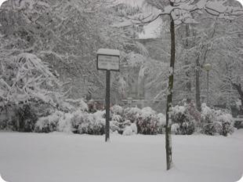 Trenta centimetri di neve.