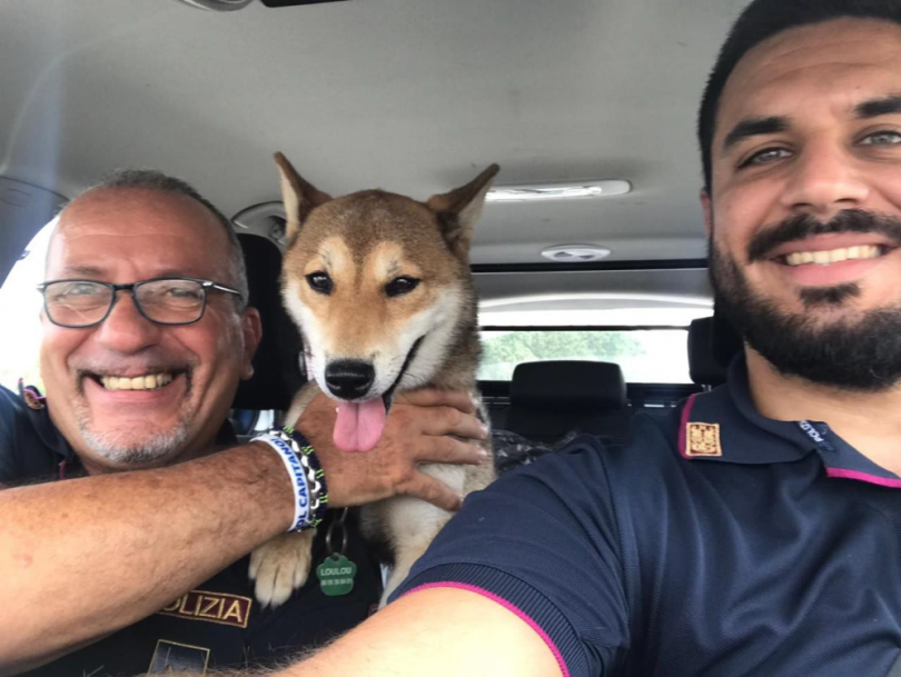 Abbandonato in autostrada il cane LouLou