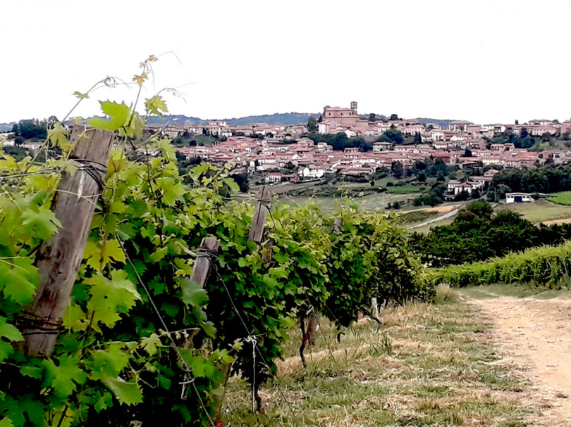 A Casorzo la cena sotto il castagno al chiaro di luna