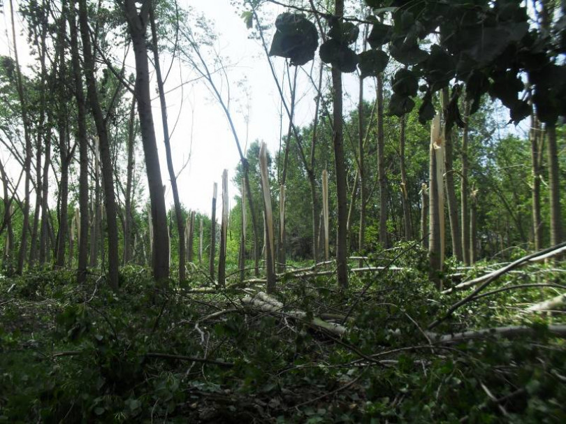 Tromba d'aria di luglio 2013: via alle domande per il risarcimento danni