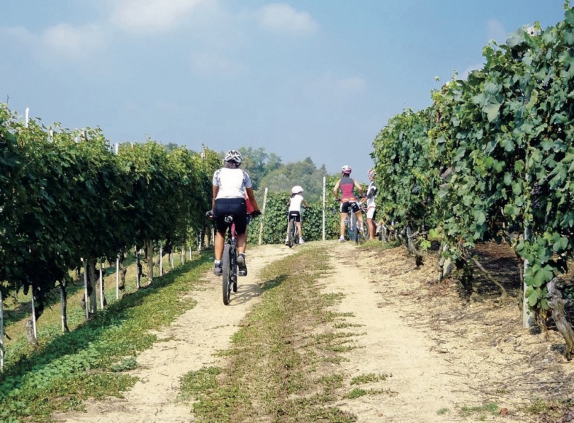 Presentato il Programma Regionale della Mobilità Ciclabile