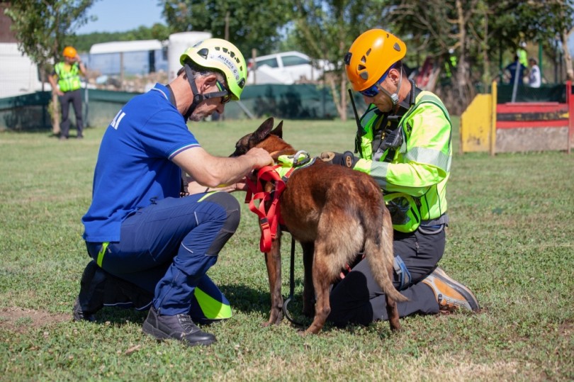 I Volontari Cinofili di Palazzolo organizzeranno le selezioni italiane del campionato mondiale dei cani da soccorso