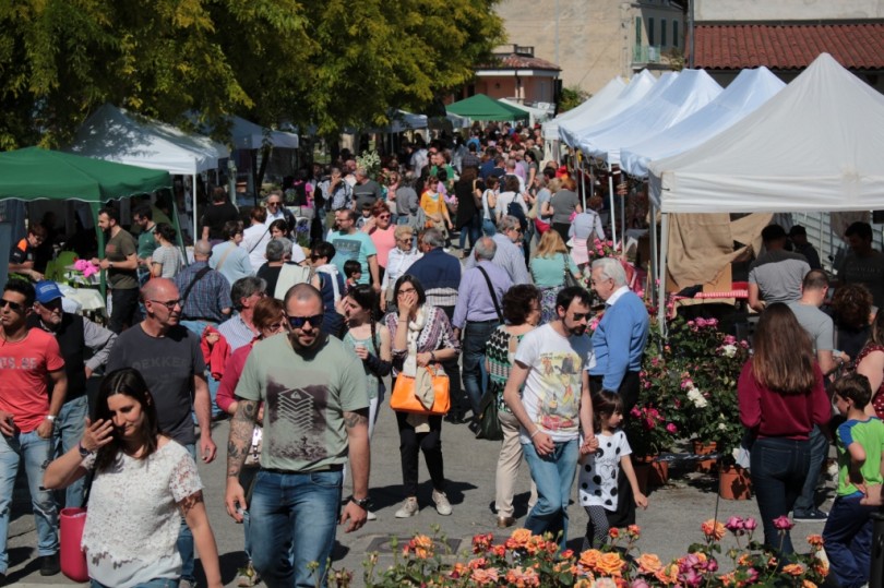 Coniolo Fiori parteciperà al Festival Città Giardino di Cervia