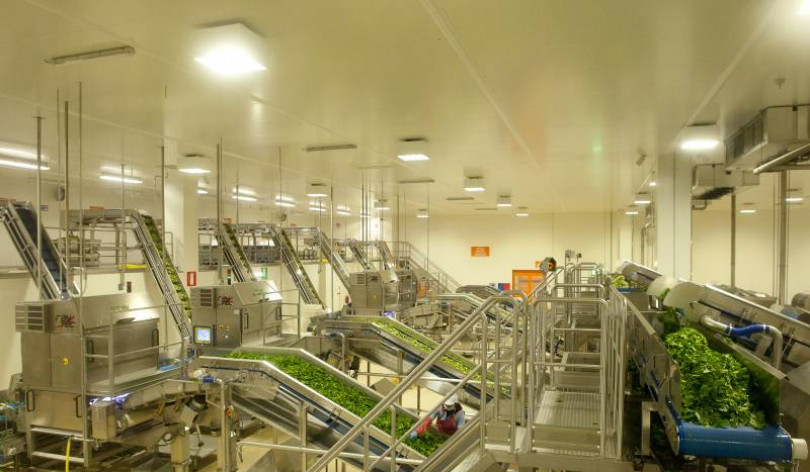 Zerbinati: «Vorrei ampliare ma la burocrazia ci sta frenando». E intanto presenta i burger vegetali