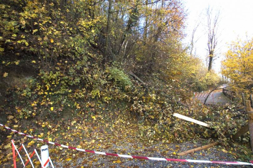 Parco di Crea, al via i lavori: da gennaio la riqualificazione paesaggistica e boschiva