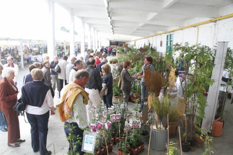 Casale Monfleurs: il Mercato Pavia diventa un grande giardino