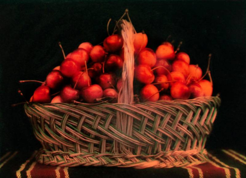 Fotografia storica: 27 nuove lastre donate al Fondo Negri della Biblioteca Civica