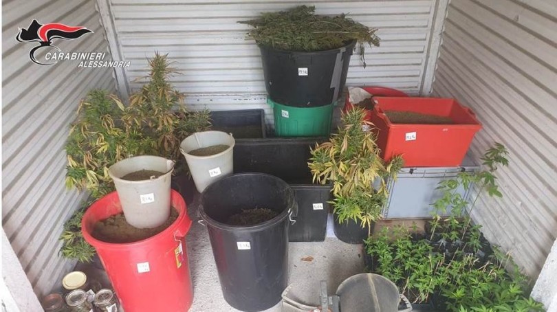 Duro colpo inferto all’attività di spaccio di droga: scoperto laboratorio a Lu-Cuccaro