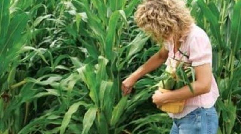 Festa della donna: le imprese rosa tassello fondamentale dell’economia piemontese