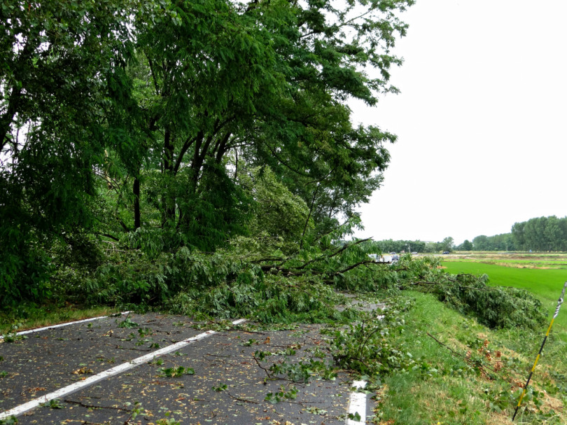 Disagi alla viabilità tra Motta e Terranova