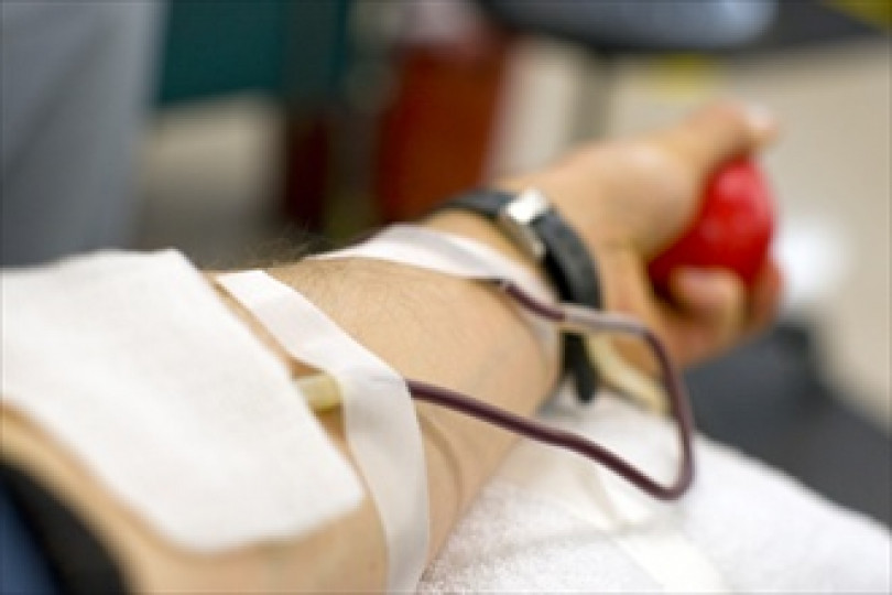 La sezione casalese dell'Avis premia i suoi donatori