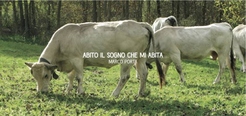 Il sogno di Marco Porta a Palazzo Natta-Vitta, “Donna in arte” alla ex Misericordia