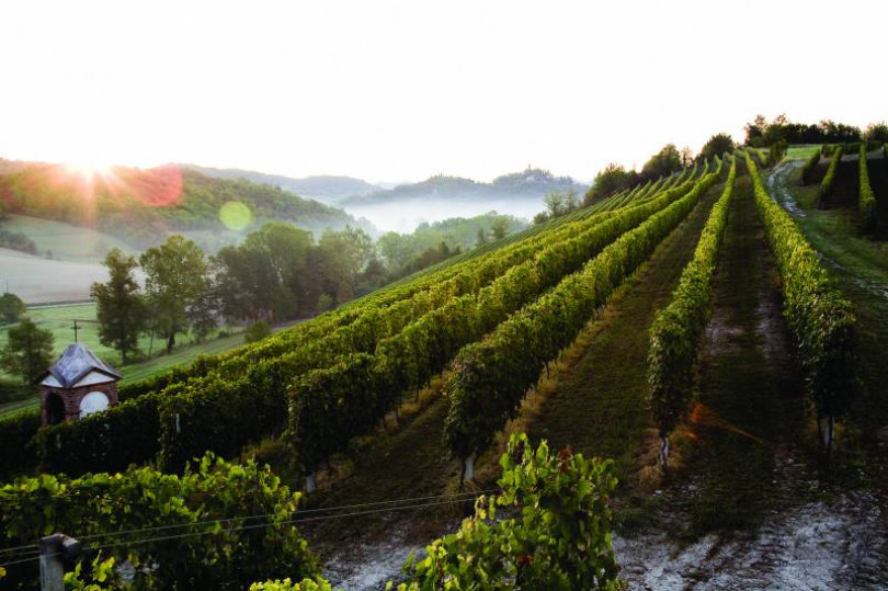 Cala l’alberghiero: i turisti preferiscono agriturismi e b&b