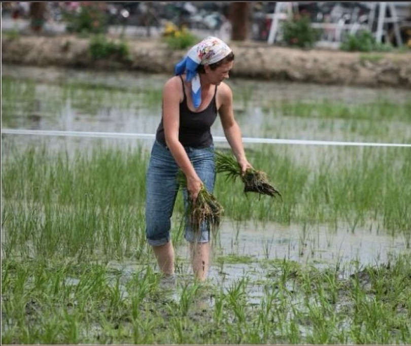 “Trapiantuma ‘l ris” a Villanova, 