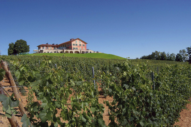 Messa in vendita Enosis-Meraviglia? Sarebbe come vendere la Bocconi