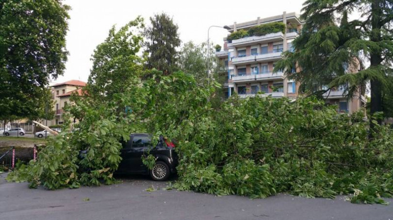Forte vento in Monferrato, disagi e danni nel centro di Casale