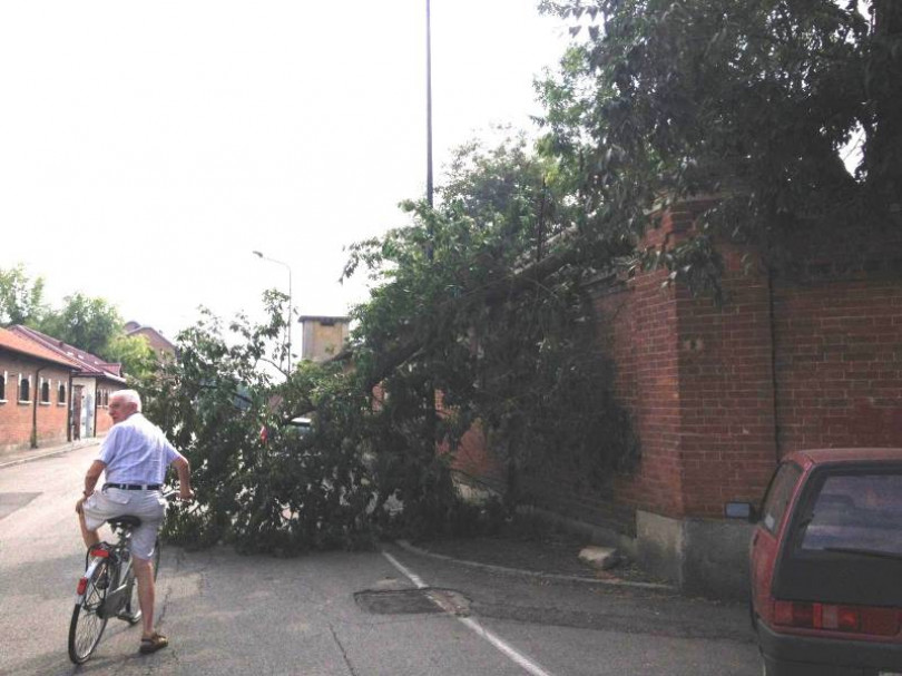 Cade un albero della caserma Bixio e finisce in strada e sul marciapiede