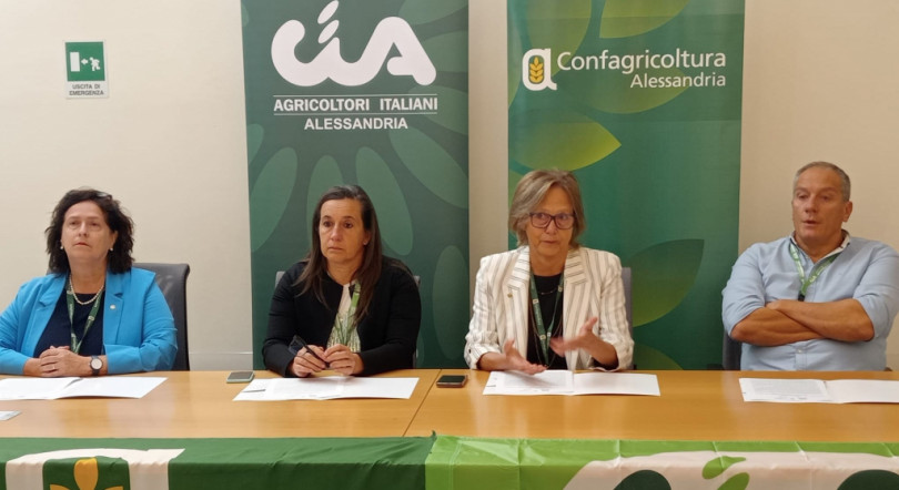 Agricoltura in crisi: prezzi non pareggiano i costi di produzione dei principali comparti produttivi