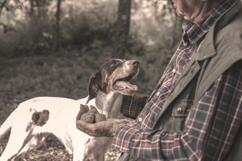 Avvelenato un «tabui» con il gas nel tartufo