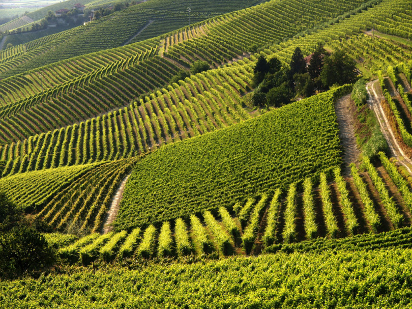 Paesaggi vitivinicoli Unesco: presentato piano operativo