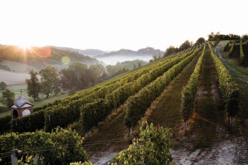 Iniziativa solidale dei produttori del Consorzio vini Colline del Monferrato Casalese