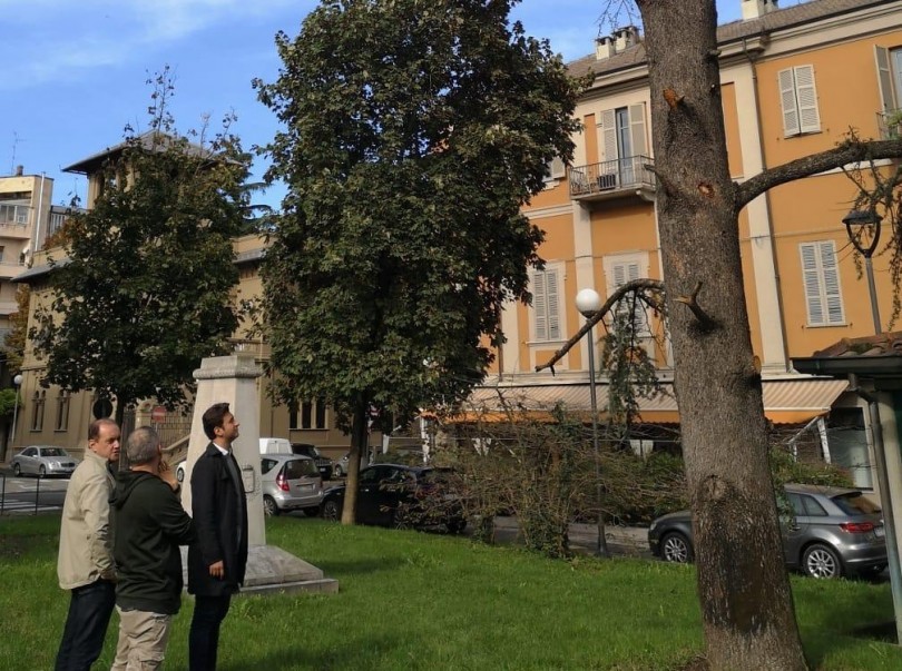 Il Comune di Casale lancia un’opera di verifica e ripiantumazione