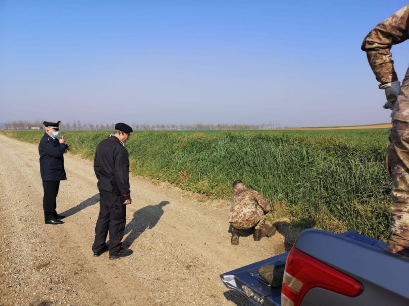 Rivenuta una granata di artiglieria nella campagna di Mirabello