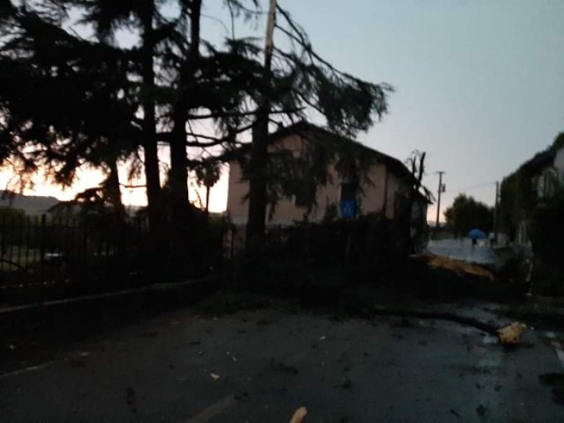 Fulmine colpisce un pino: schegge a decine di metri e strada chiusa