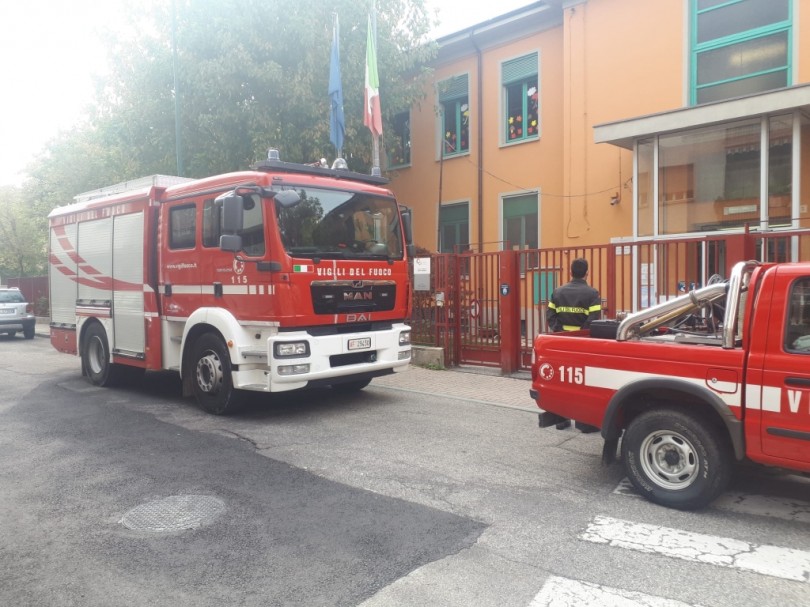 Nido di calabroni a scuola: intervento dei Vigili del Fuoco