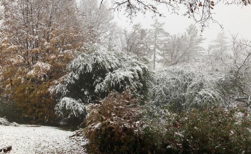 Prima nevicata di stagione in Monferrato