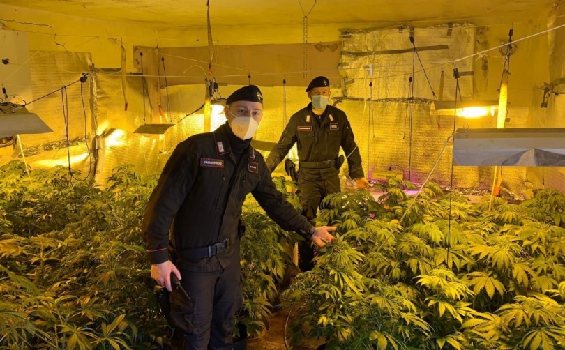 Un casolare disabitato trasformato in serra di marijuana