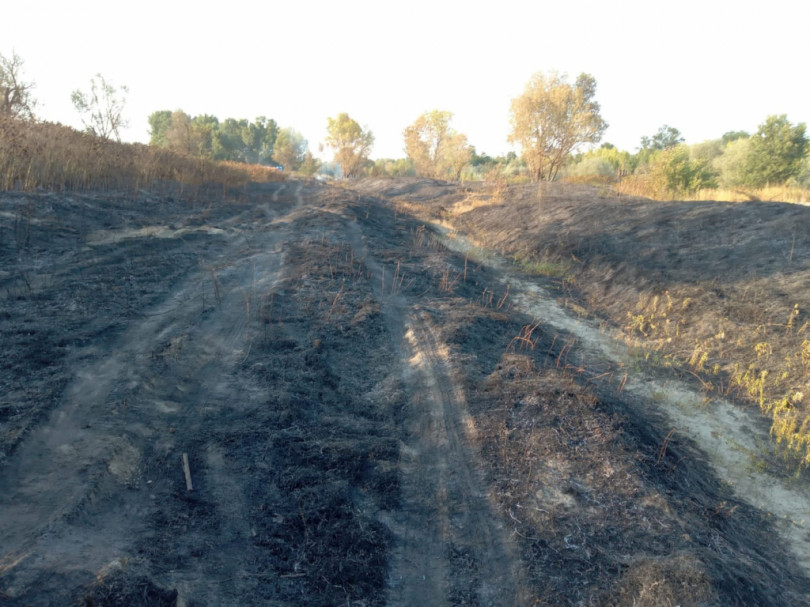 Grosso incendio in sponda destra del Sesia