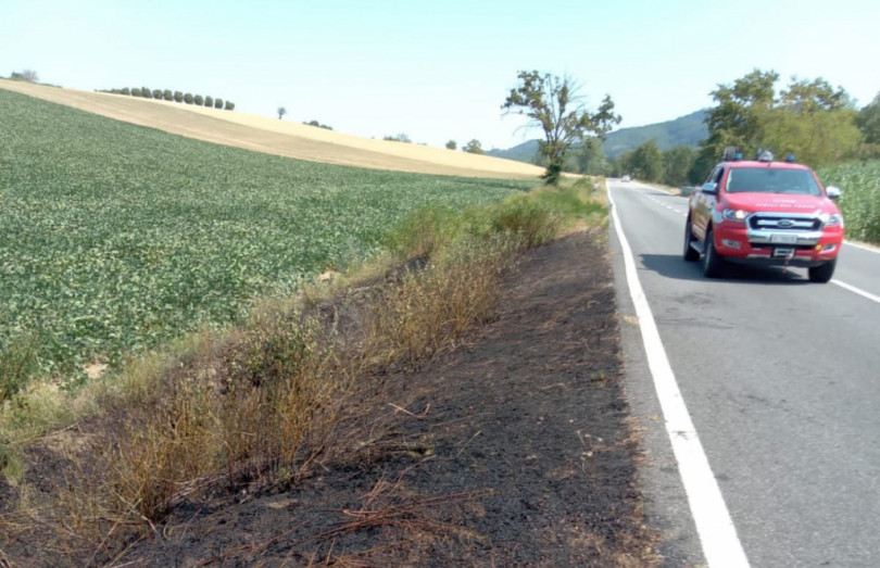 Rogo di sterpaglie lungo la strada provinciale tra Mombello e Gabiano
