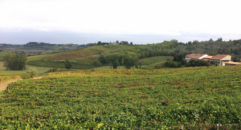 Alto Piemonte - Gran Monferrato candidato a Città Europea del Vino 2024