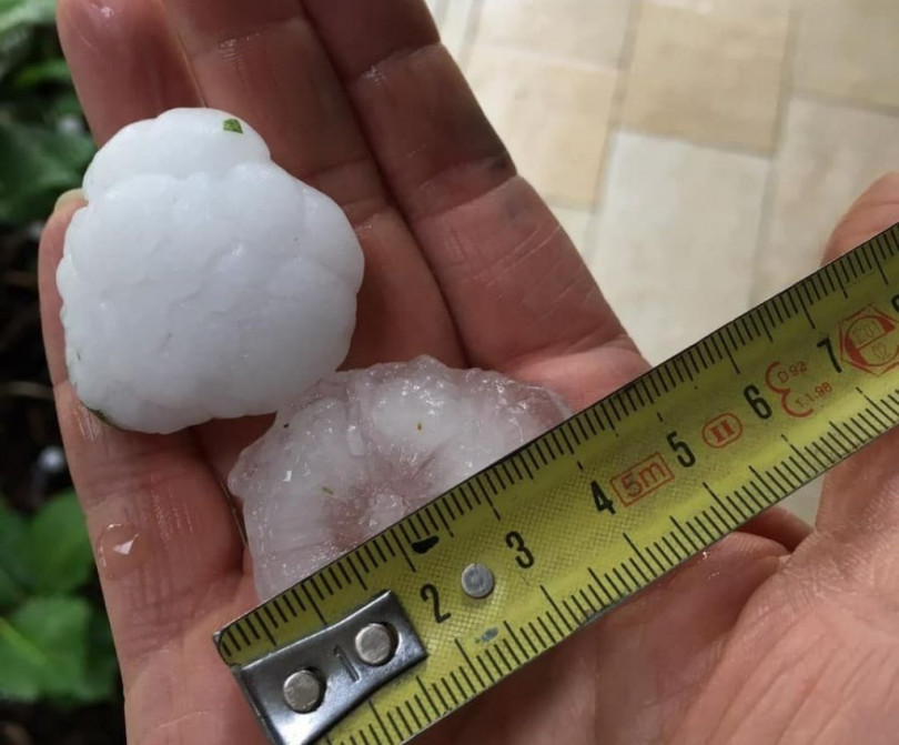 Si apre il bando regionale per l'acquisito di reti antigrandine e impianti antigelo