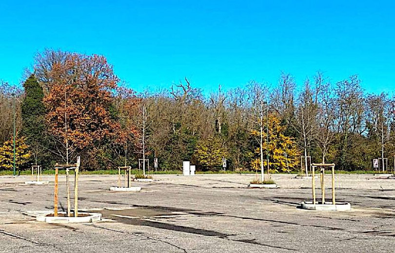 Comune di Casale: 550 nuove piante in tre anni