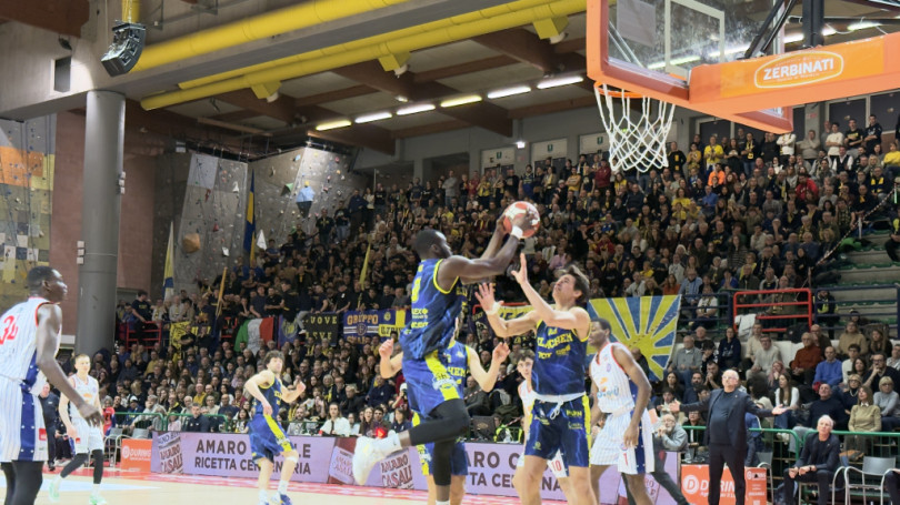 La Novipiù si inchina alla capolista Elachem Vigevano: 74-96