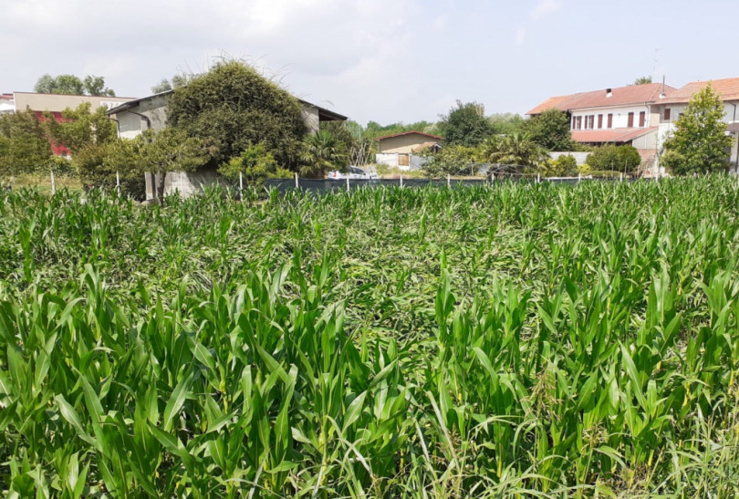 Maltempo: le imprese agricole iniziano la conta dei danni