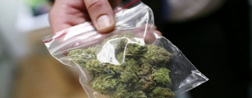 Studente universitario denunciato dai Carabinieri per spaccio di droga