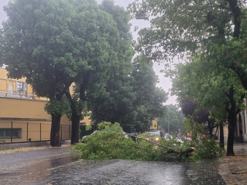 FOTOGALLERY - I danni del temporale che si è abbattuto su Casale