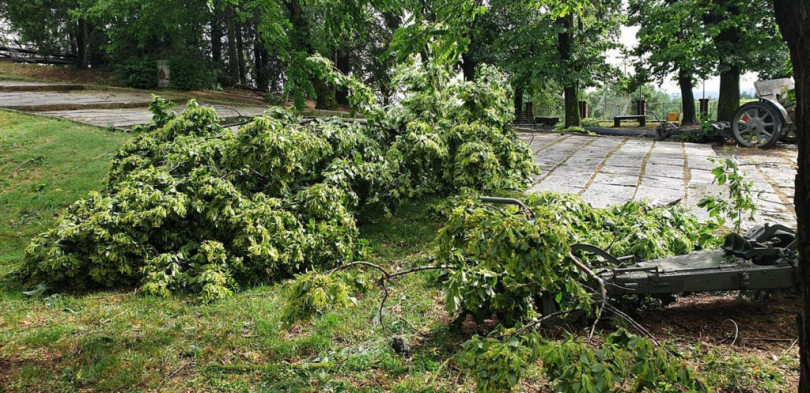 FOTOGALLERY - Alberi sradicati e disagi alla viabilità anche nel Moncalvese