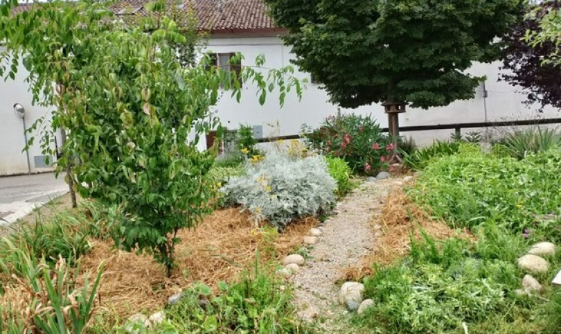 A Casale “Un albero per la resilienza”