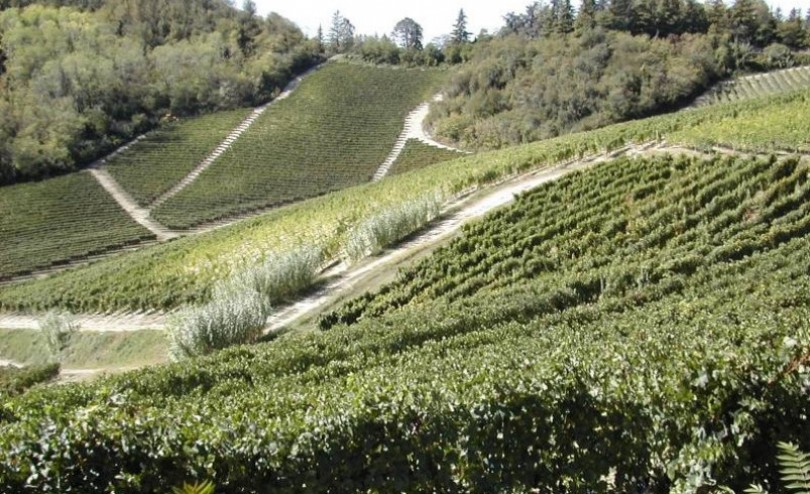 Confagricoltura Asti traccia un primo bilancio dell'annata agraria