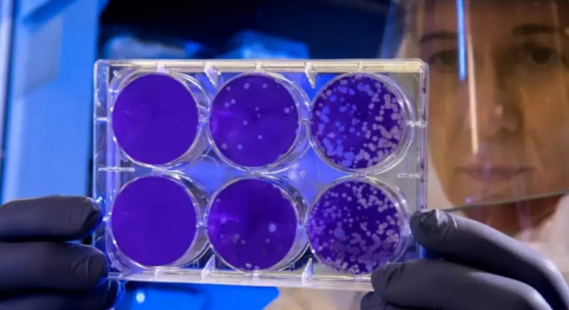 Dopo un anno più contagi ma meno ricoveri