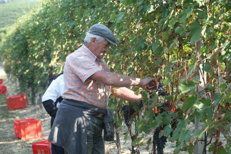 La “Giornata del Ringraziamento” a Casale Monferrato