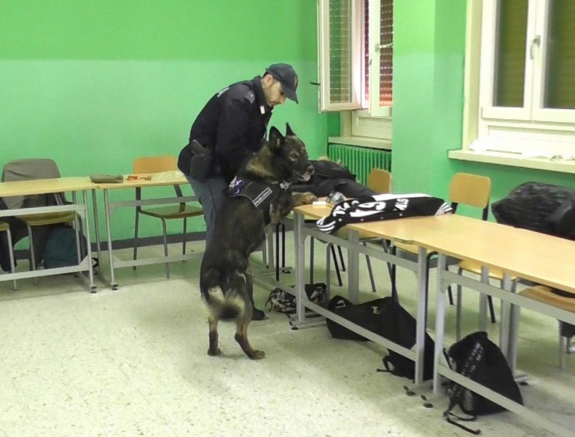 Cane antidroga a scuola: sequestrato dell'hashish